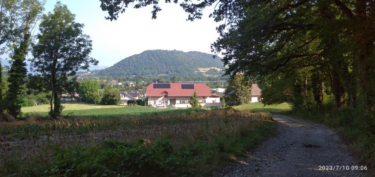 Gite De Cret Vial Alby-sur-Cheran Exterior photo